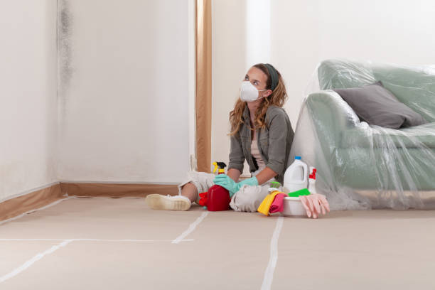 Reliable Mold Remediation contractor in Belleville, PA by WQB Mold Removal